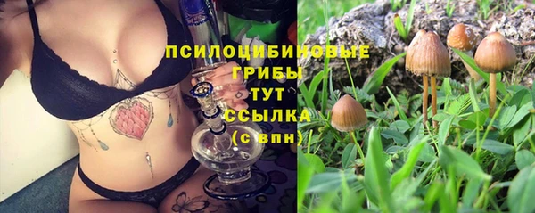 мет Абаза